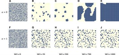 Temporal-spatial perception adjustment to fitness enhances the cooperation in the spatial prisoner’s dilemma game